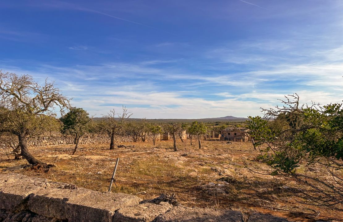 Terreno en venta en Santa Margalida