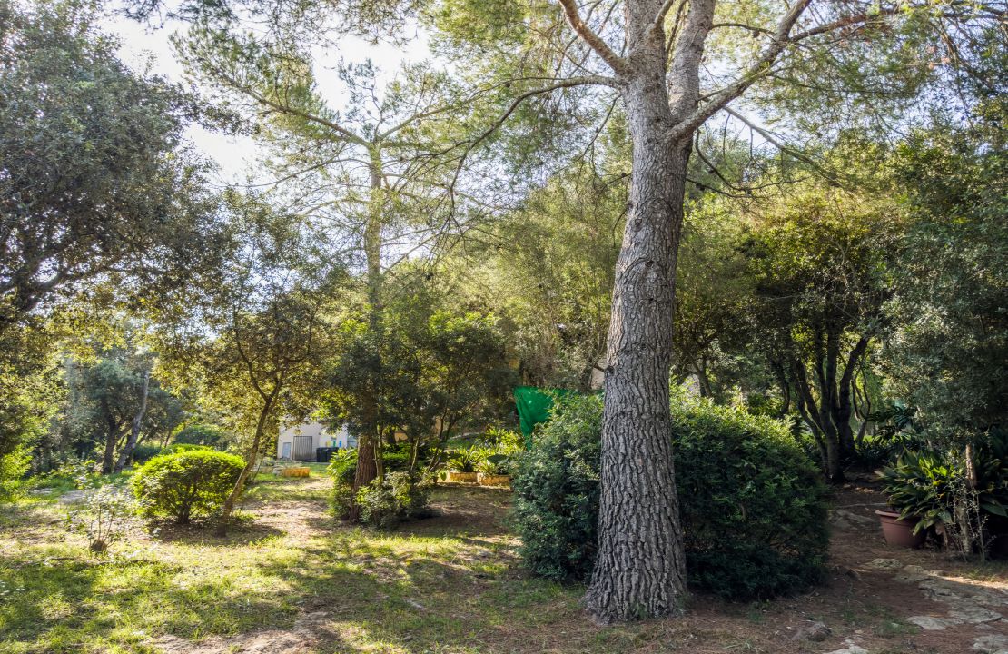 Finca con ETV y piscina en venta en Pollenca, Mallorca