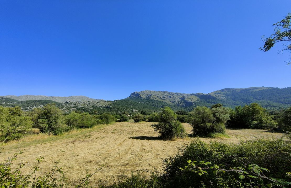 Projekt für ein charmantes Haus in der Nähe von Pollensa, umgeben von Natur.