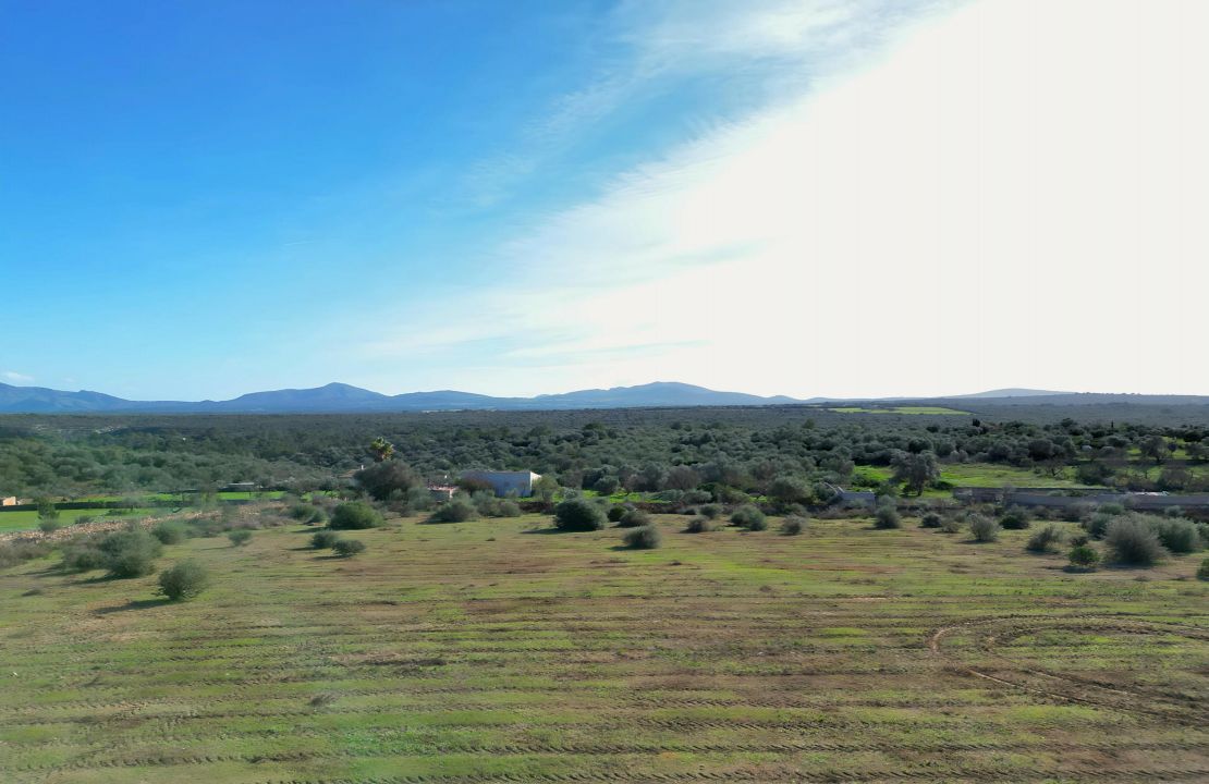 Terreno con Licencia de Construcción para Casa y Piscina en Santa Margalida