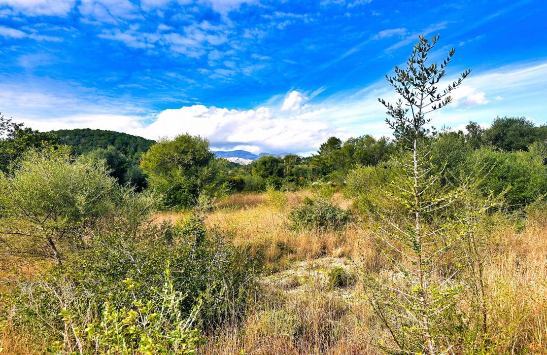 Exceptional Double Plot in Crestatx, Sa Pobla, Mallorca for Sale