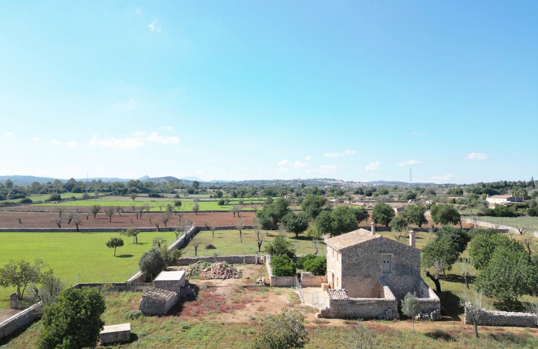 Finca en venta finca tradicional con 15,600 metros de terreno en Maria de la salut.