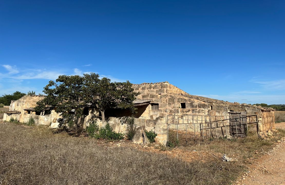 Grundstück zum Verkauf in Llubi, Mallorca