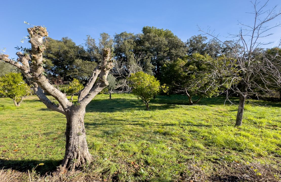 Einzigartige Finca mit einer besonderen Aufteilung und Charme in Pollensa