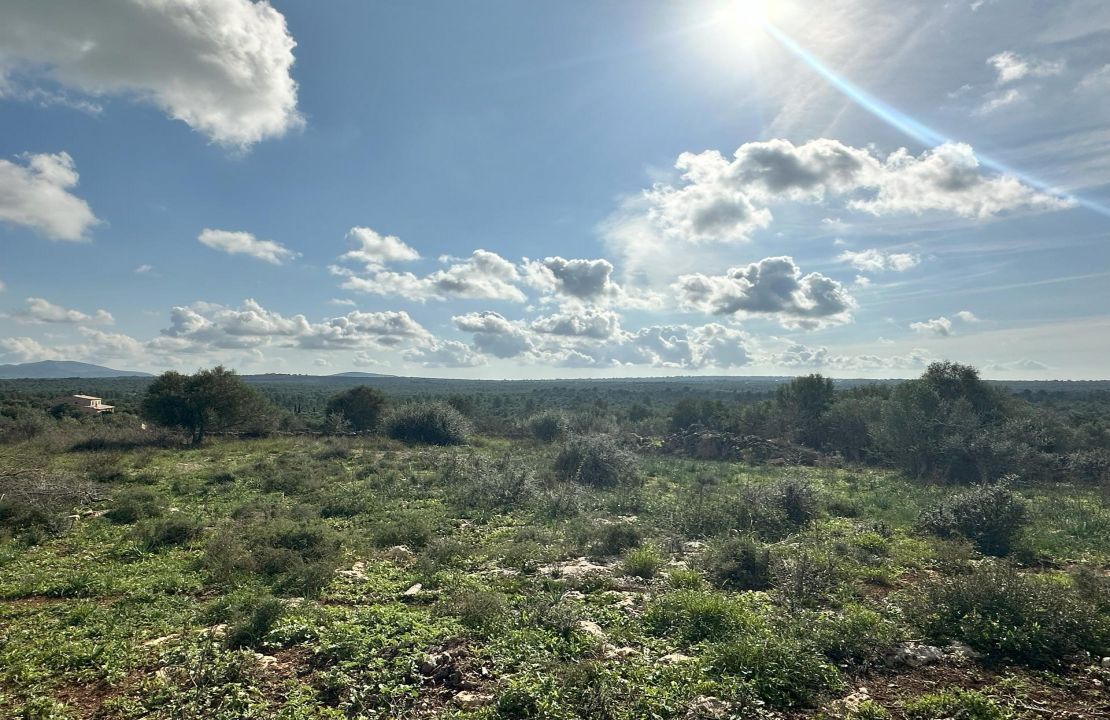 Land for Sale in Santa Margalida, Mallorca – Approved Basic Project