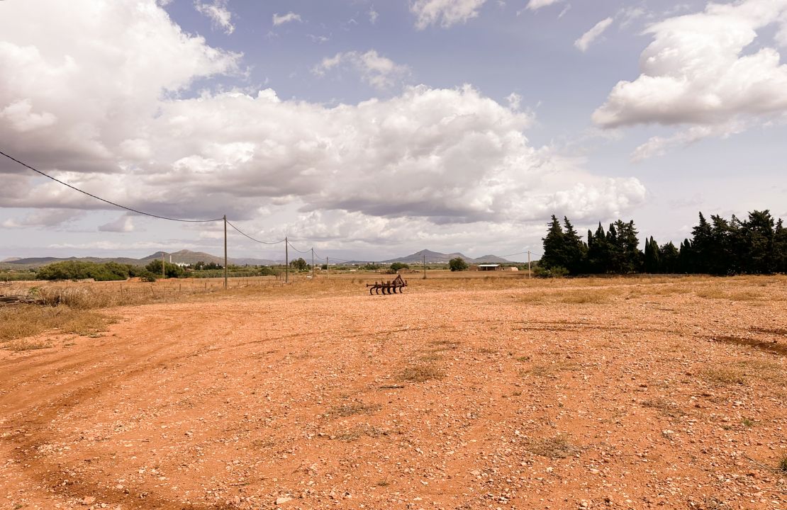 Terreno edificable en venta en Muro, Mallorca