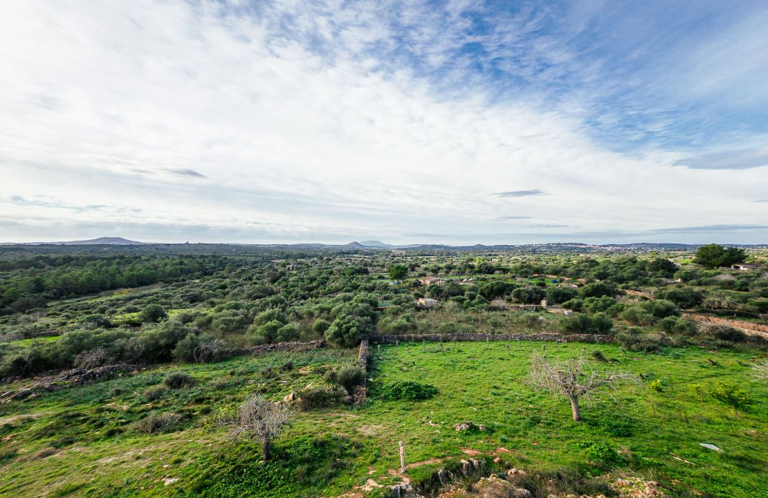 Terreno en venta en Santa Margalida, Mallorca – con proyecto básico