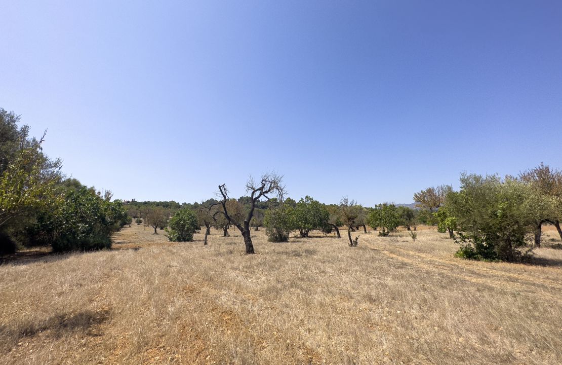 Terreno edificable en el campo de Campanet en venta con licencia en vigor para empezar el proyecto