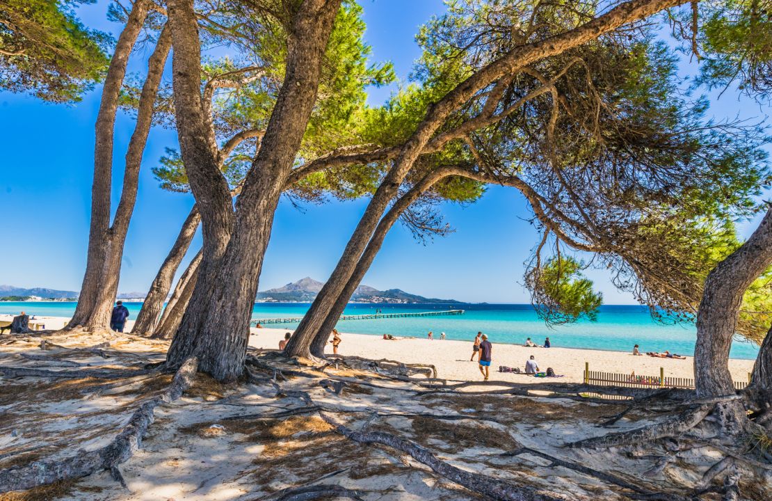 Nachhaltiges Neubau Doppelhaus in Puerto de Alcudia, Mallorca zu verkaufen