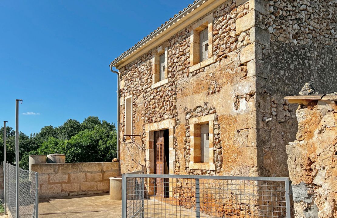 Finca en venta finca tradicional con 15,600 metros de terreno en Maria de la salut.